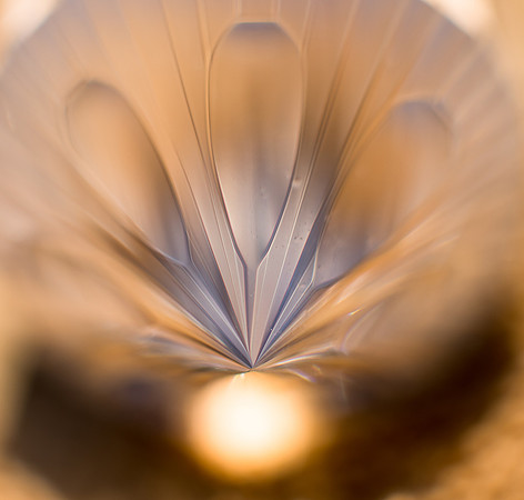 Living on Light