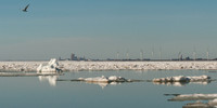 Winter Flight to Buffalo