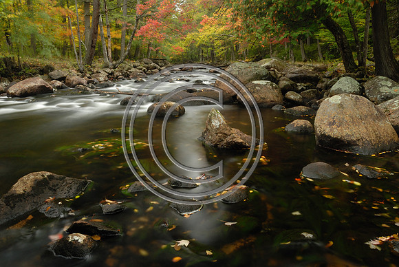 Fall in The Adirondack Mountains