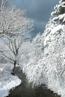 Winters Silver Lining