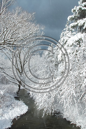 Winters Silver Lining