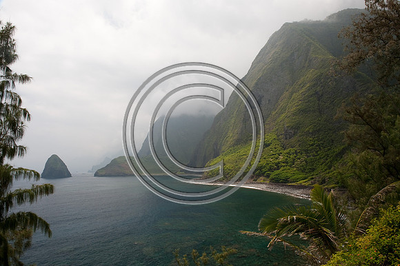 Jurassic Molokai